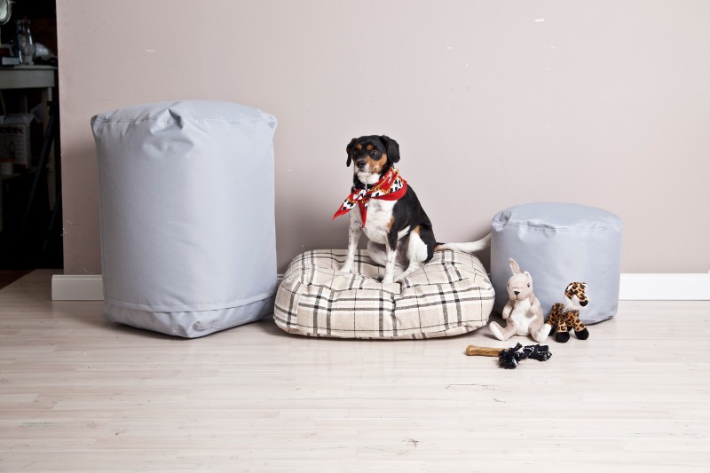 hund kissen spielzeug