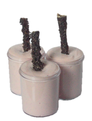 eiskaltesvergnügen5